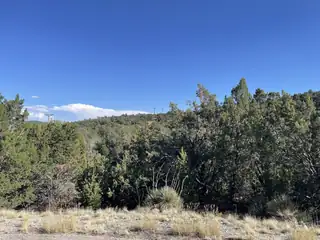 55 Canyon Ridge Drive 