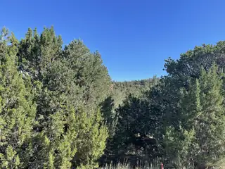 55 Canyon Ridge Drive 