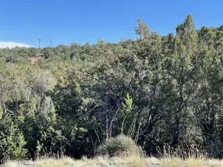 55 Canyon Ridge Drive 