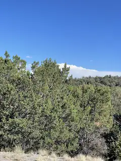 55 Canyon Ridge Drive 