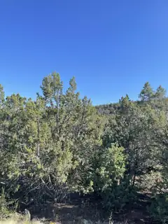 55 Canyon Ridge Drive 