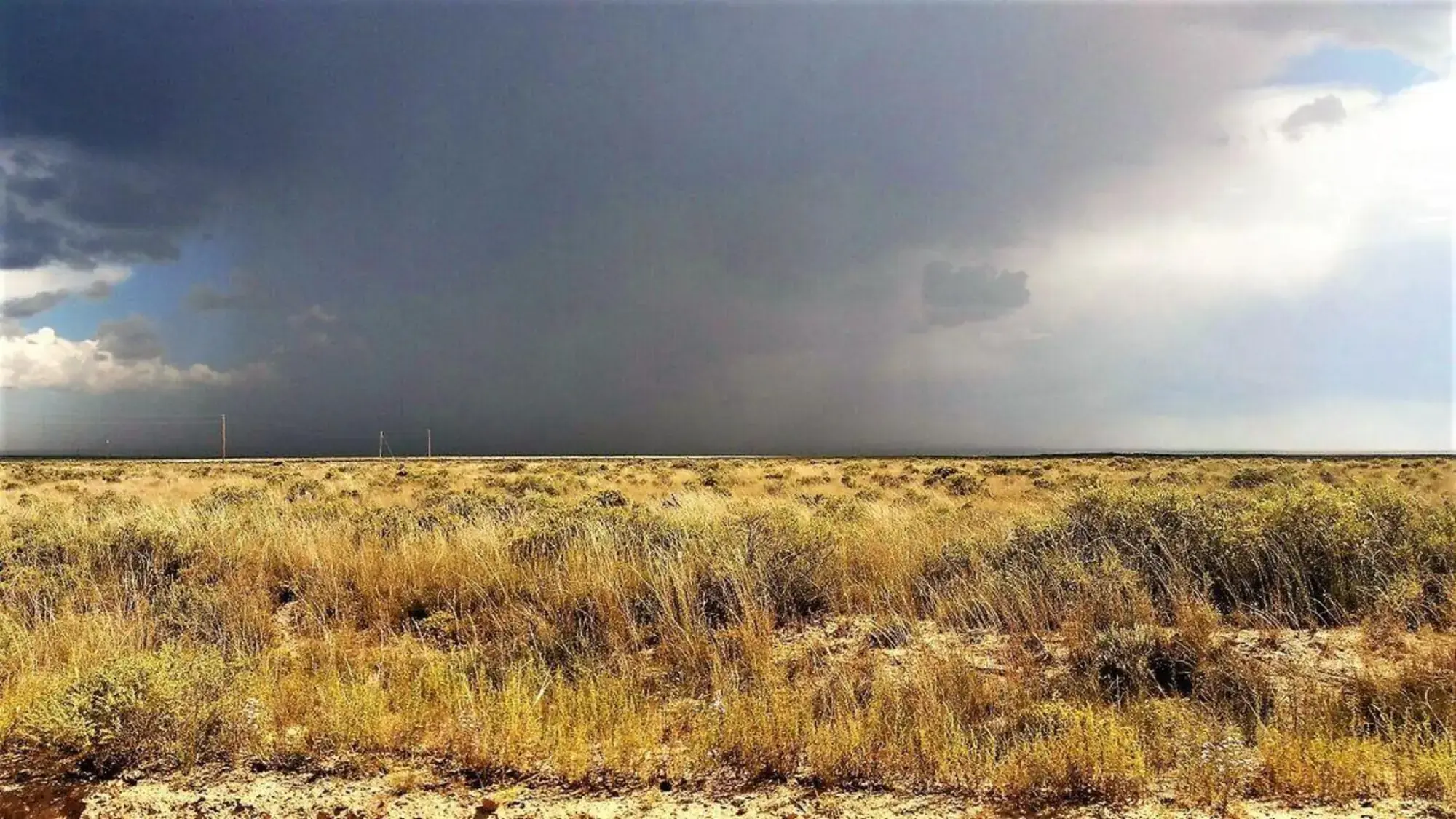 Palomino Drive Lot 5