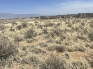 5 Acres Paradise West 