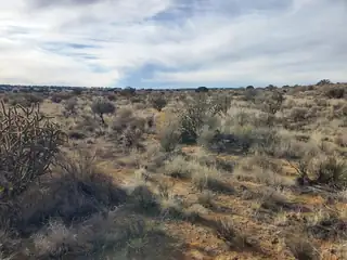 Lot 24 22nd Street NW 