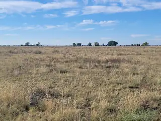 202-A Calle Del Sol Road 