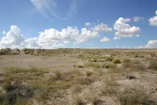 5757 Maplewood (N28) Avenue SW 