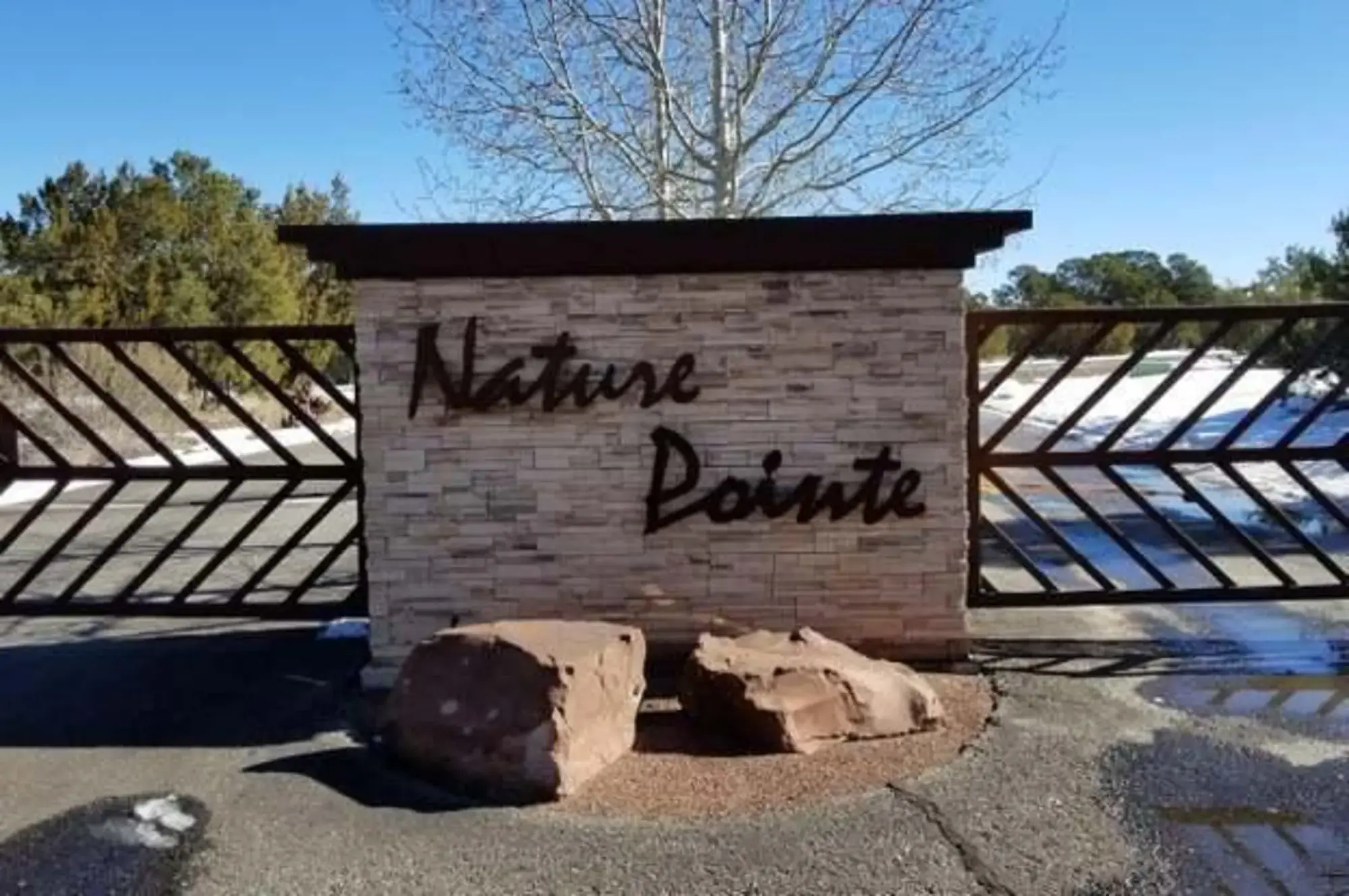 46 Nature Pointe Drive