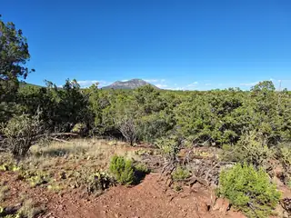 59 Express Boulevard, Sandia Park 