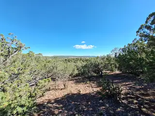 59 Express Boulevard 