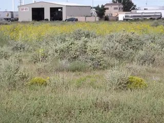 U.S. Rt. 66 E (Tr 2-A-2-A) 