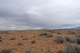 Lot 6 Rio Grande Estates V 