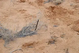 Lot 6 Rio Grande Estates V 