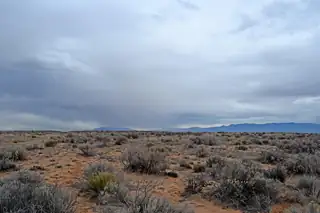 Lot 6 Rio Grande Estates V 