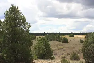 398-399 Cheyenne Drive 