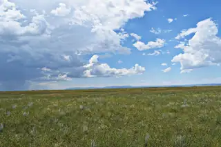 Lot 5 Estancia Ranchettes 4 