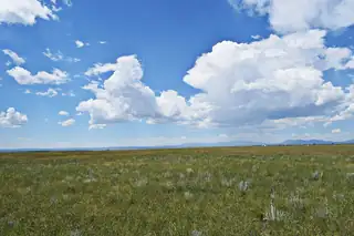 Lot 5 Estancia Ranchettes 4 