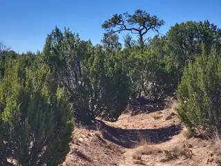 32 Camino Monte Azul 