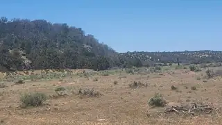 North Lots - Calls Place 