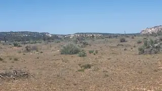 North Lots - Calls Place 