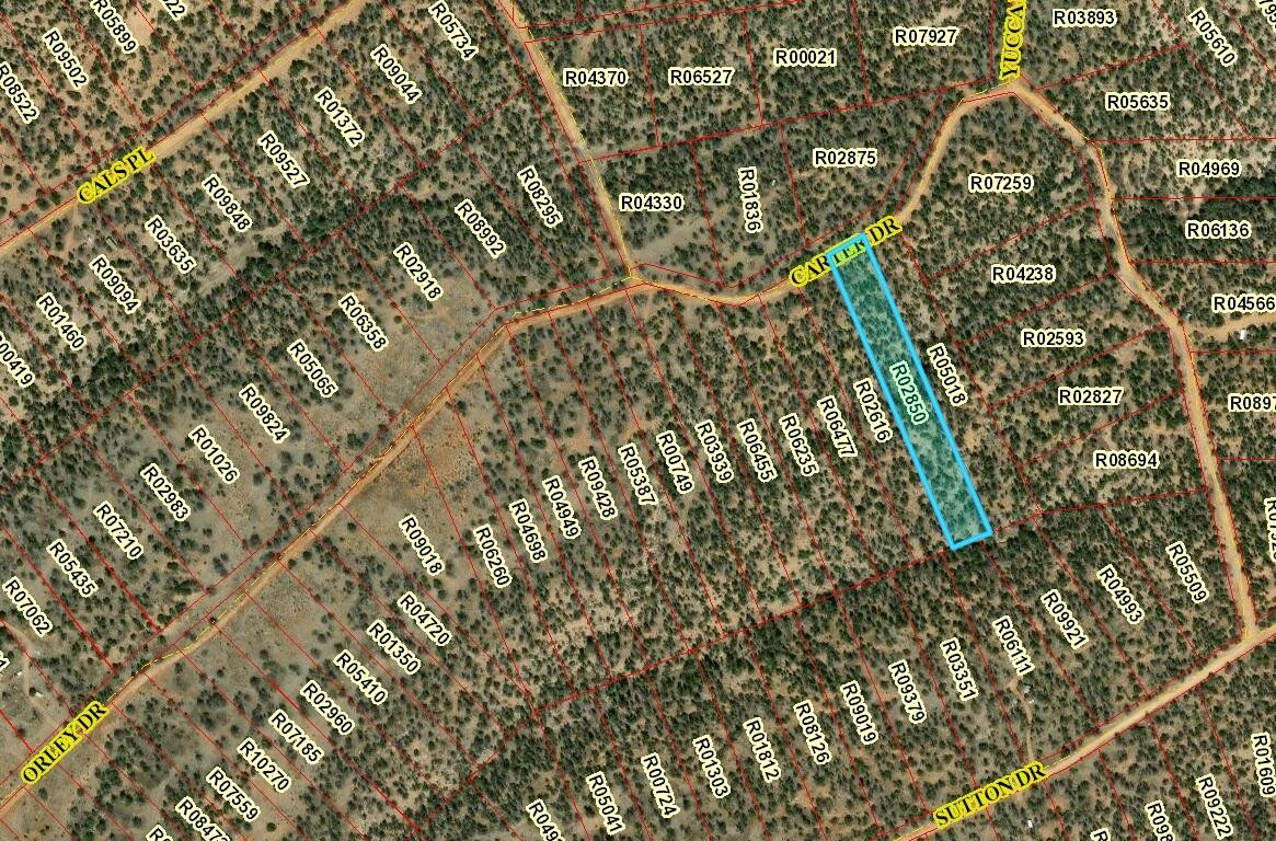Lot 902 Carter Drive