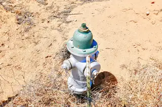 1300 Vista De Bosque 