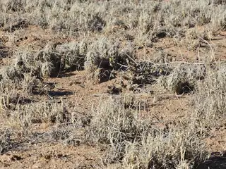 Vl Rio Grande Estates L13 Blk 314 7 