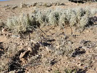 Vl Rio Grande Estates L13 Blk 314 7 