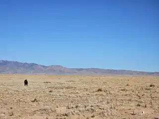 Vl Rio Grande Estates L13 Blk 314 7 