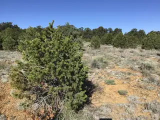 Lot 11 Pinecrest Road 