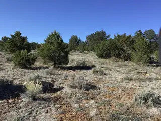 Lot 11 Pinecrest Road 