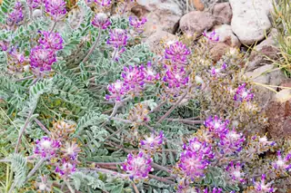 Lot 39 Sunset Vista Road 