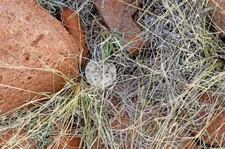 Lot 40 Sunset Vista Road 