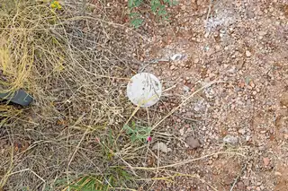 Lot 41 Sunset Vista Road 