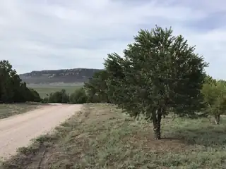 Lot 6 Sunflower Drive 