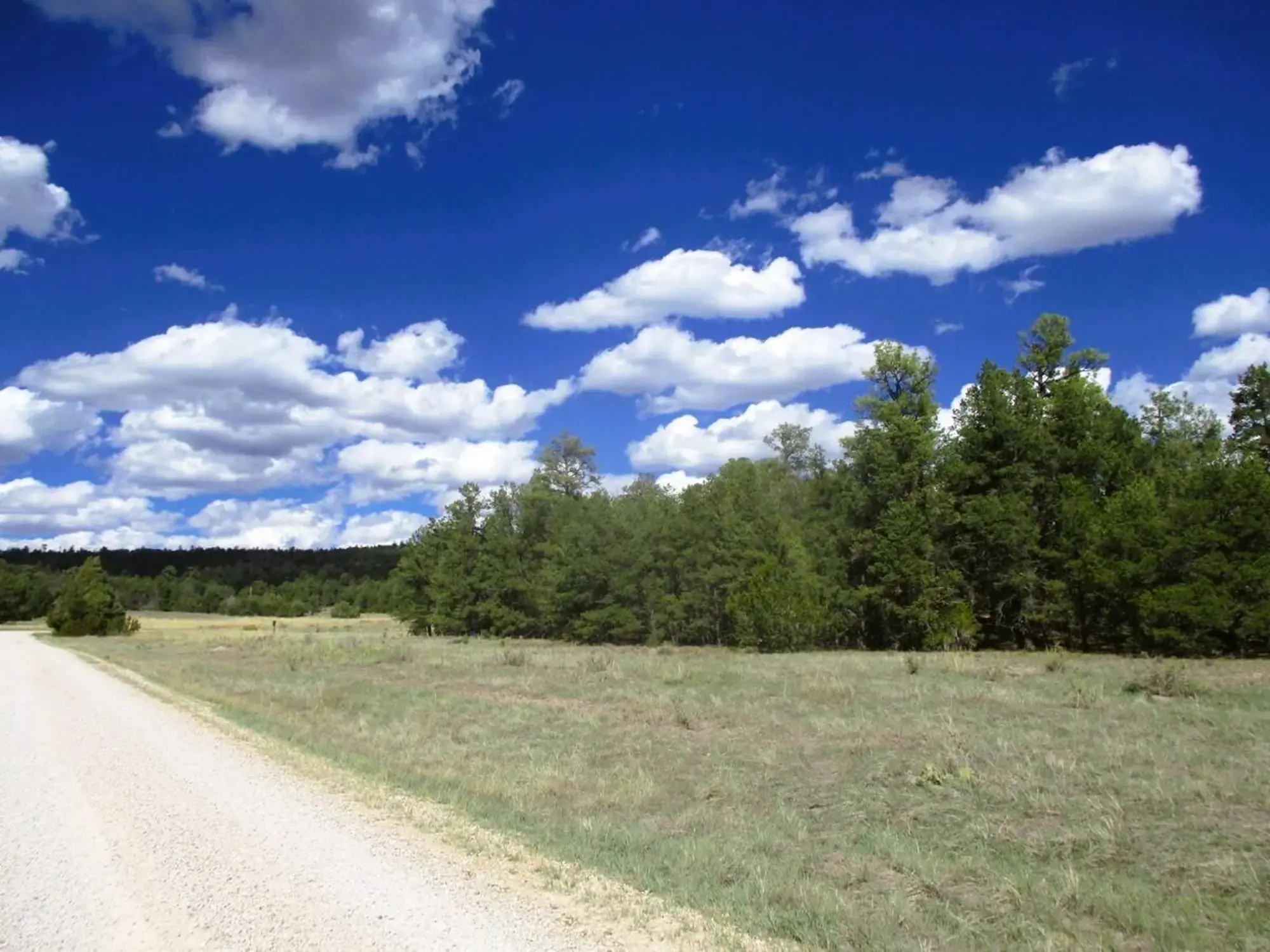 Lot 5 Copperweed Road