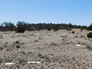 Lot 5 Golden Horeshoe Trail 