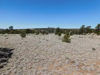 Lot 5 Golden Horeshoe Trail 