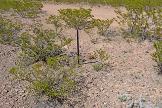 Lot 7 Quail Run Drive 