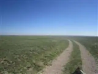 Palomino Dr (Lot 23) 