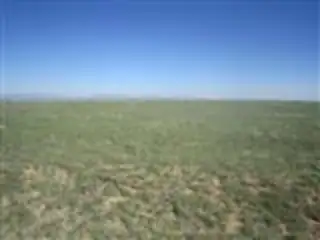 Palomino Dr (Lot 23) 