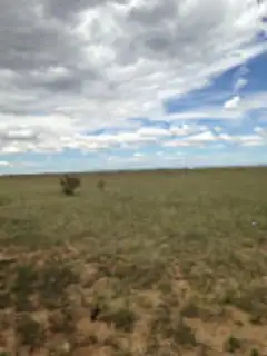 Palomino Dr (Lot 23) 