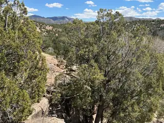 64 GOLD MINE Trail 