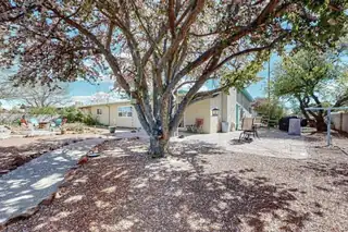 409 N Limit Avenue Backyard