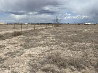 Albert Lane, McIntosh 