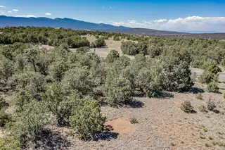 2 Soaring Hawk Court 