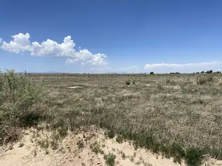 Clements Rd & Andrew Rd Road 