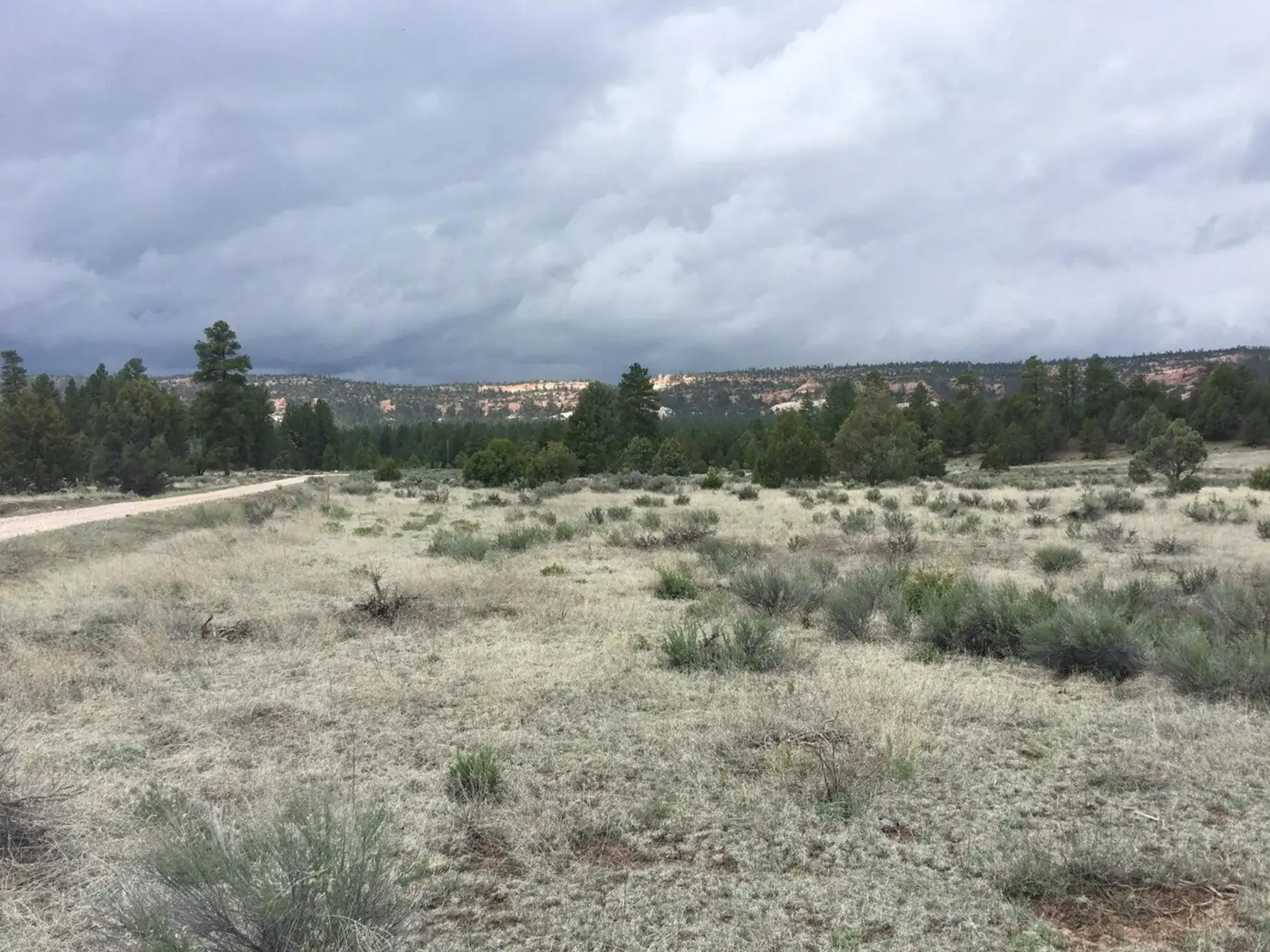 Lot 2 East Elk Road