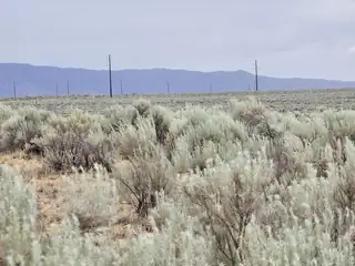 Vl 10 Rio Grande Estates Block 589 25 