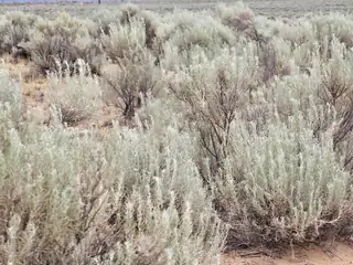 Vl 14 Rio Grande Estates Block 589 25 