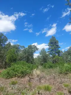 16 Secret Pines Court 